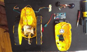 roborover dissected top view